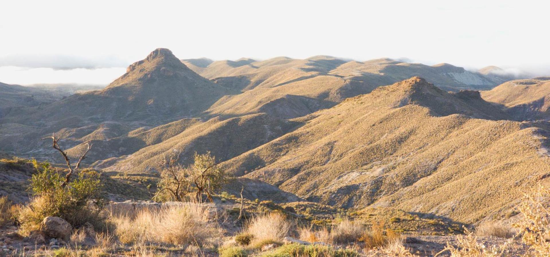 Cortijo El Albaricoque De La Sierra - Finca De 75 Hectareas ! Nijar Ngoại thất bức ảnh