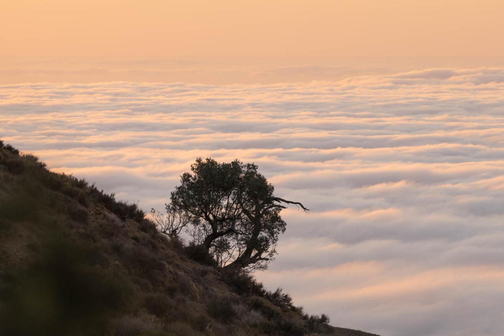 Cortijo El Albaricoque De La Sierra - Finca De 75 Hectareas ! Nijar Ngoại thất bức ảnh